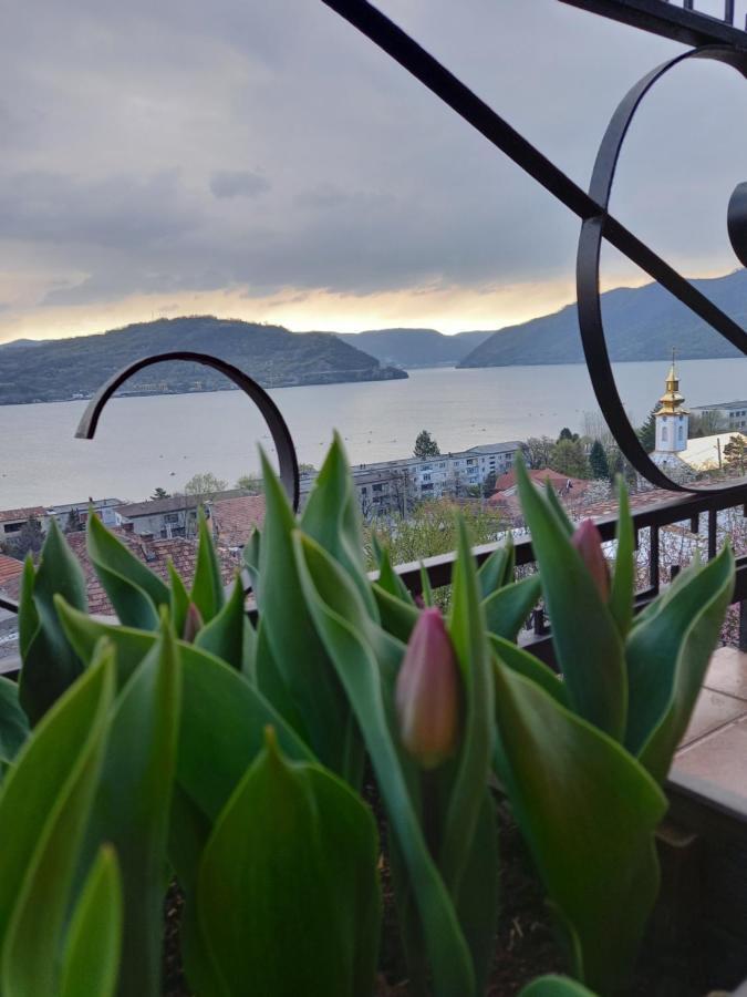 Villa Casa Lui Marc Orşova Esterno foto